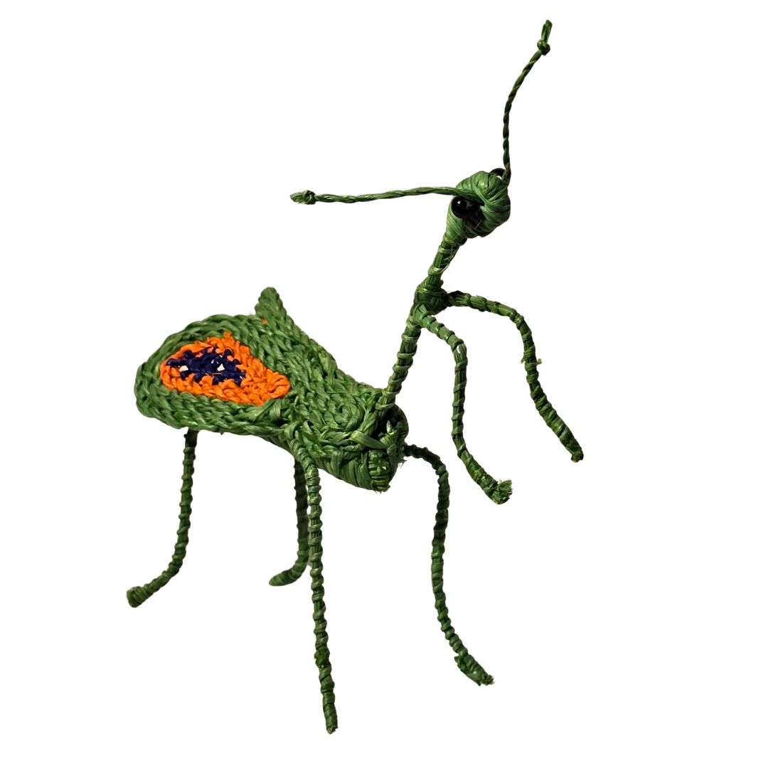 PRAYING MANTIS WOVEN INSECT ORNAMENT - HAND-MADE BY ARTISAN FROM THE PERUVIAN AMAZON - Amazon Ecology