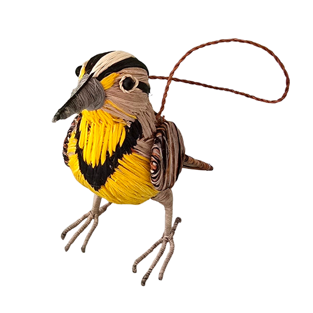 MEADOWLARK WOVEN BIRD ORNAMENT - HANDMADE BY PERUVIAN AMAZON ARTISAN - Amazon Ecology