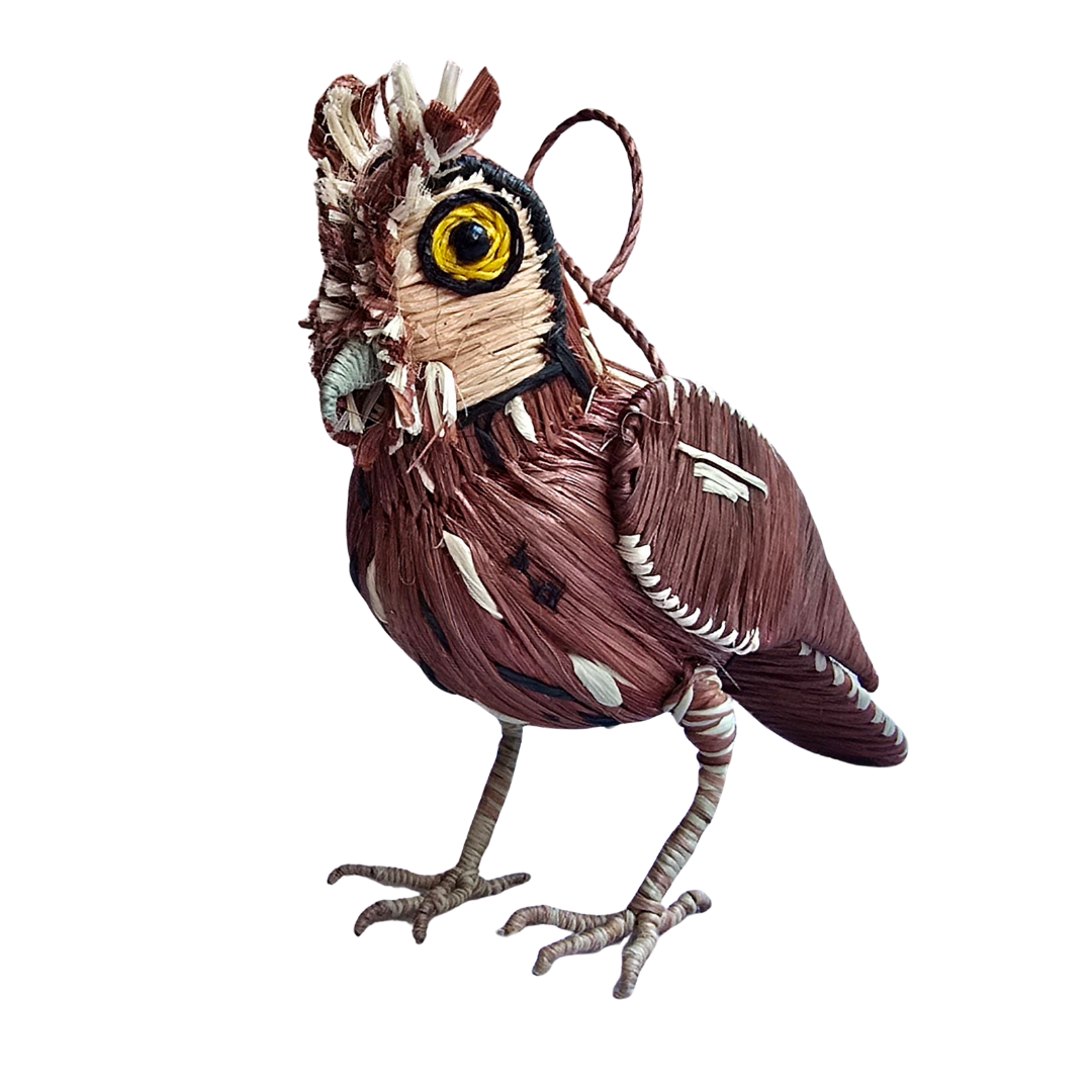 SCREECH OWL BIRD FAIR -TRADE ORNAMENT AND DECORATION- WOVEN BY PERUVIAN AMAZON ARTISAN