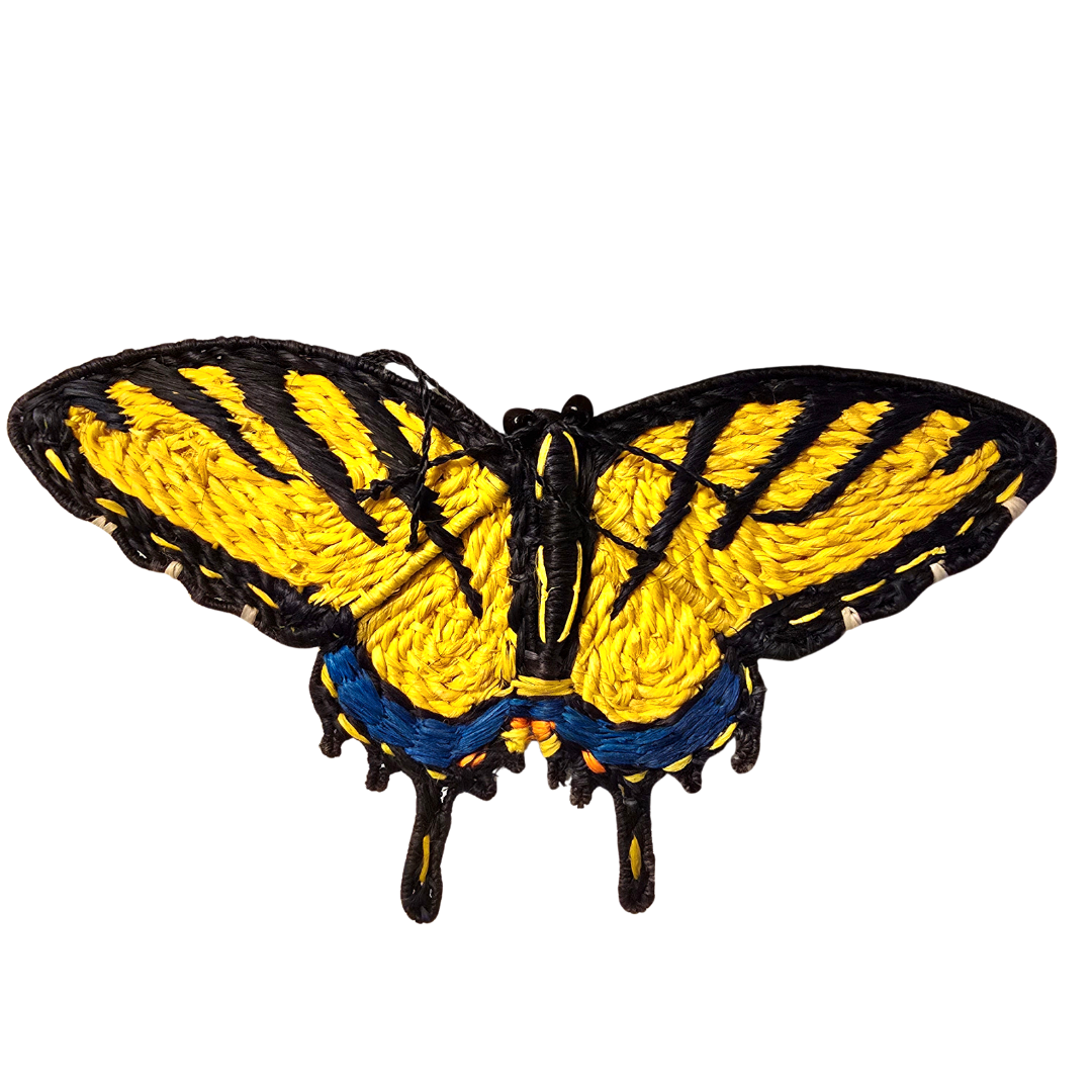 Woven butterfly hair barrettes