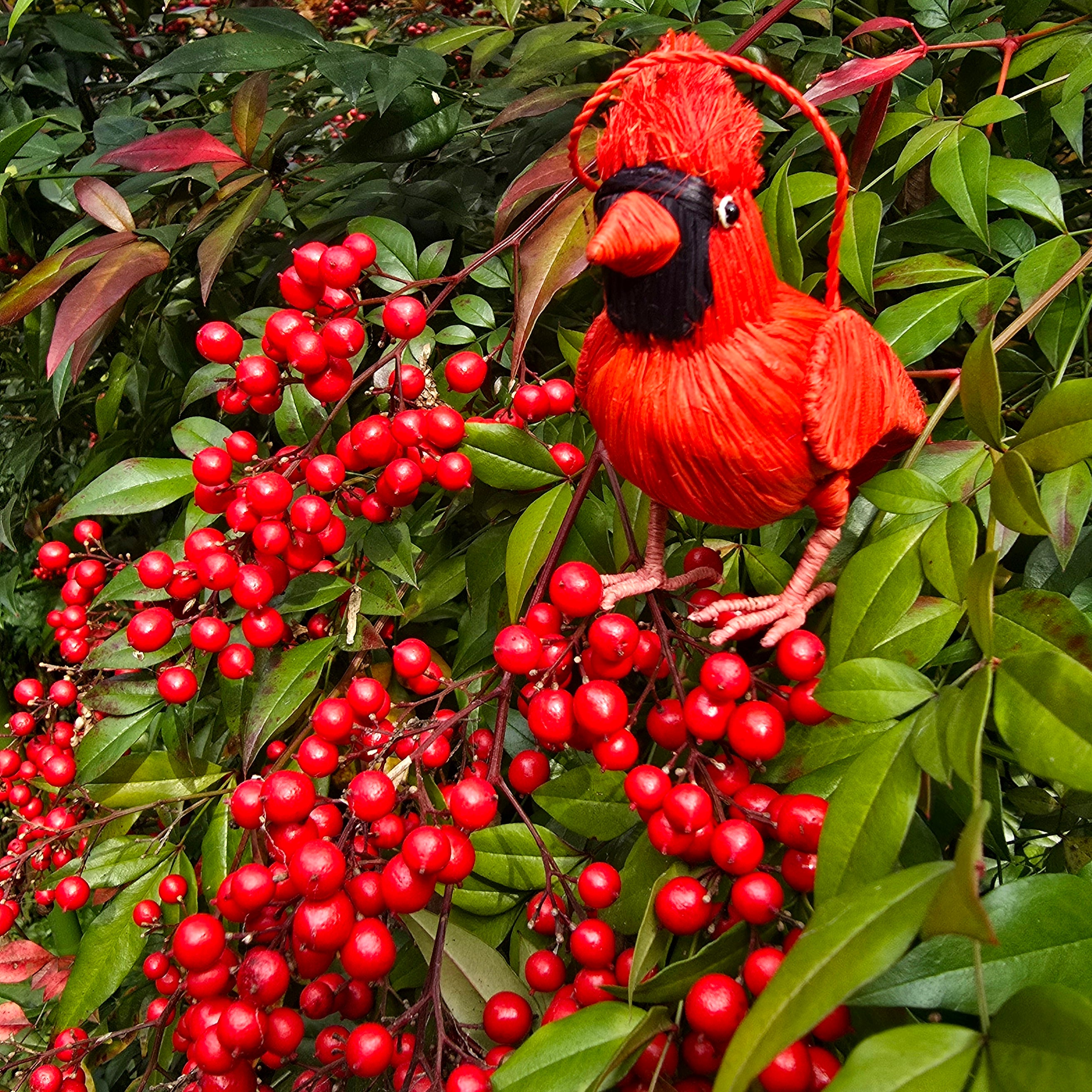 CARDINAL BIRD - FAIR TRADE CHRISTMAS TREE ORNAMENT - WOVEN BY PERUVIAN AMAZON ARTISAN - Amazon Ecology