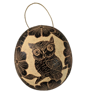 Amazon Owl Calabash Wall Hanging - made by Peruvian artisan - Amazon Ecology