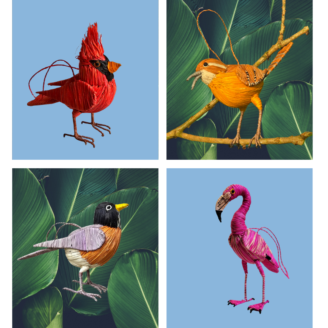 Birdwatcher’s Bundle - Amazon Ecology