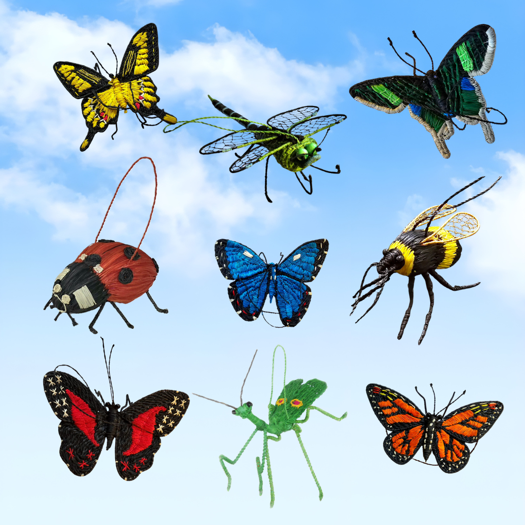 Wholesale: Favorite Insects - 16 Ornaments from 11 Species - Amazon Ecology