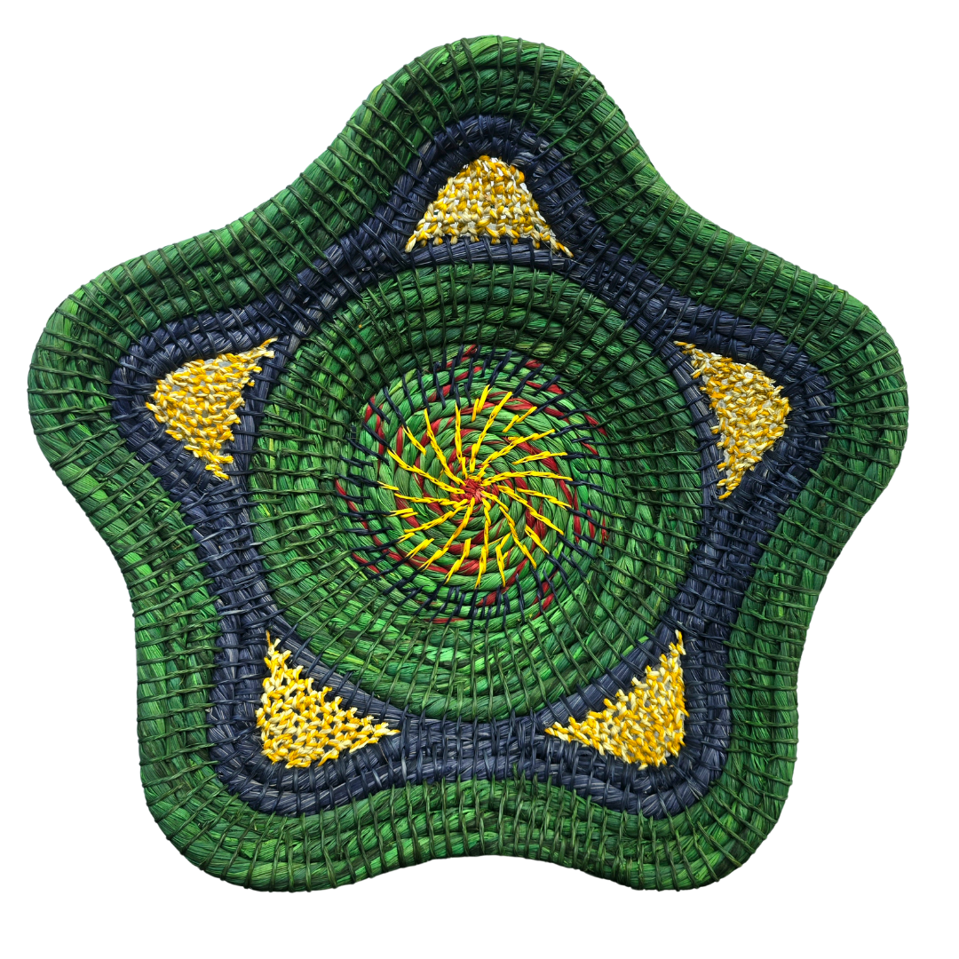 Beautiful Blue and Emerald Handwoven Decorative Basket - Fair Trade - Amazon Ecology