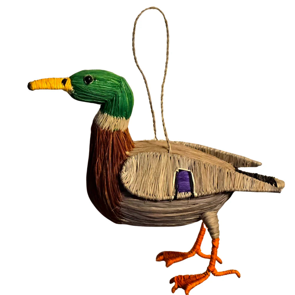 Waterbird Favorites