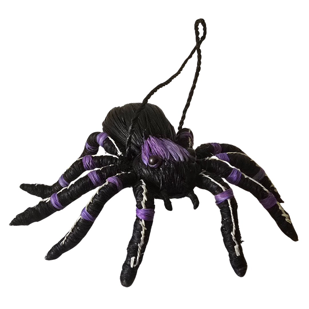TARANTULA SPIDER ORNAMENT - HAND-MADE BY ARTISAN FROM THE PERUVIAN AMAZON - Amazon Ecology