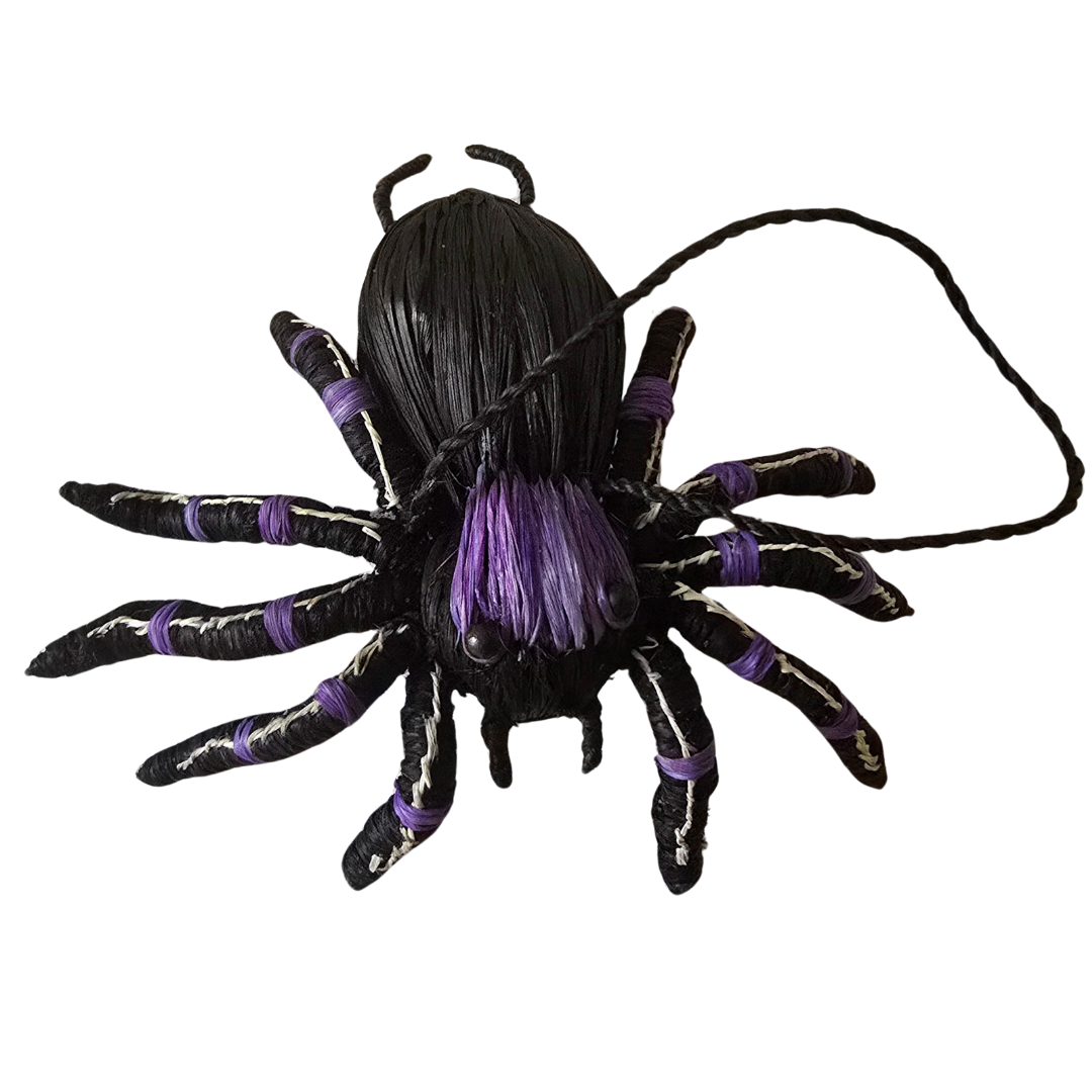 TARANTULA SPIDER ORNAMENT - HAND-MADE BY ARTISAN FROM THE PERUVIAN AMAZON - Amazon Ecology