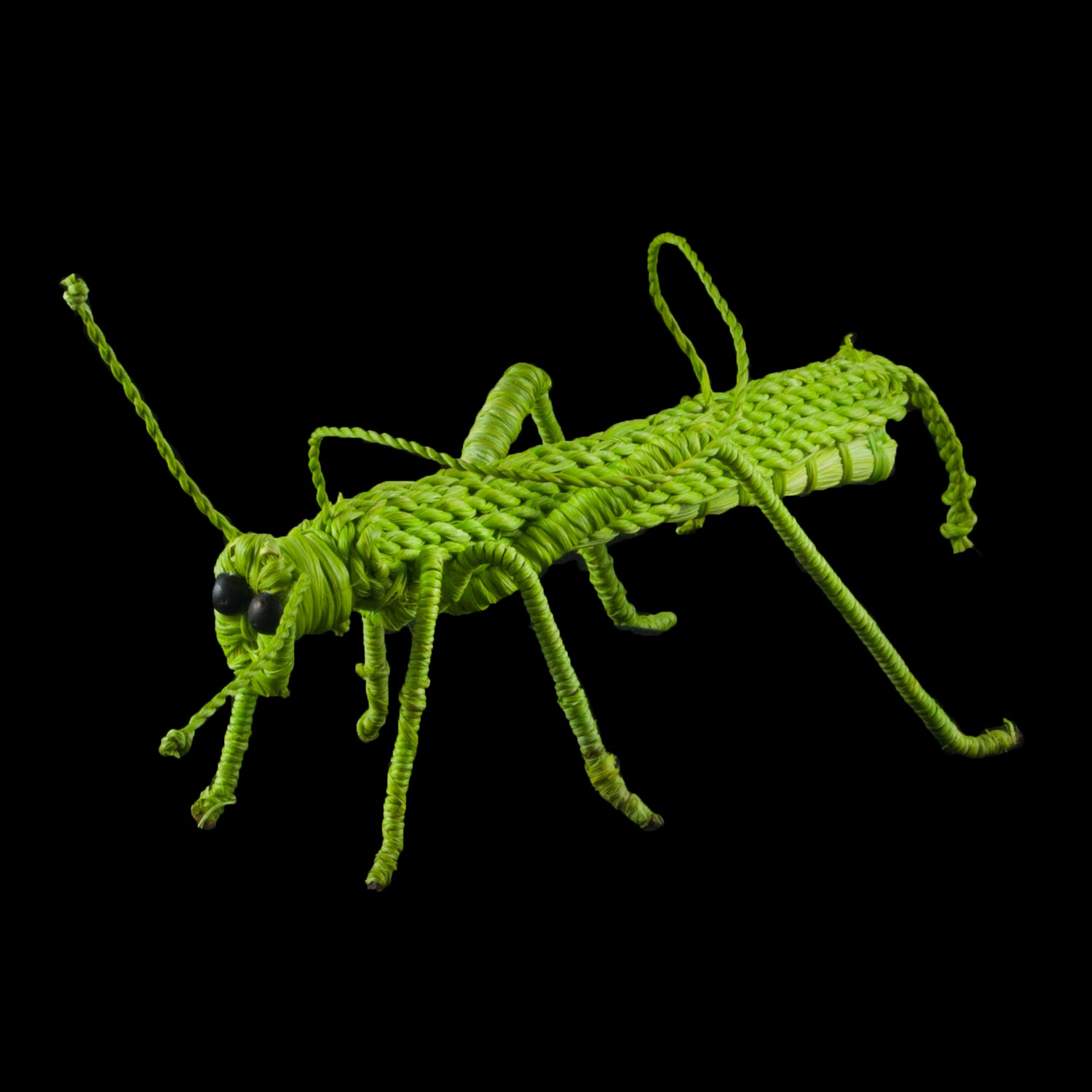 GRASSHOPPER WOVEN INSECT ORNAMENT - HAND-MADE BY ARTISAN FROM THE PERUVIAN AMAZON - Amazon Ecology