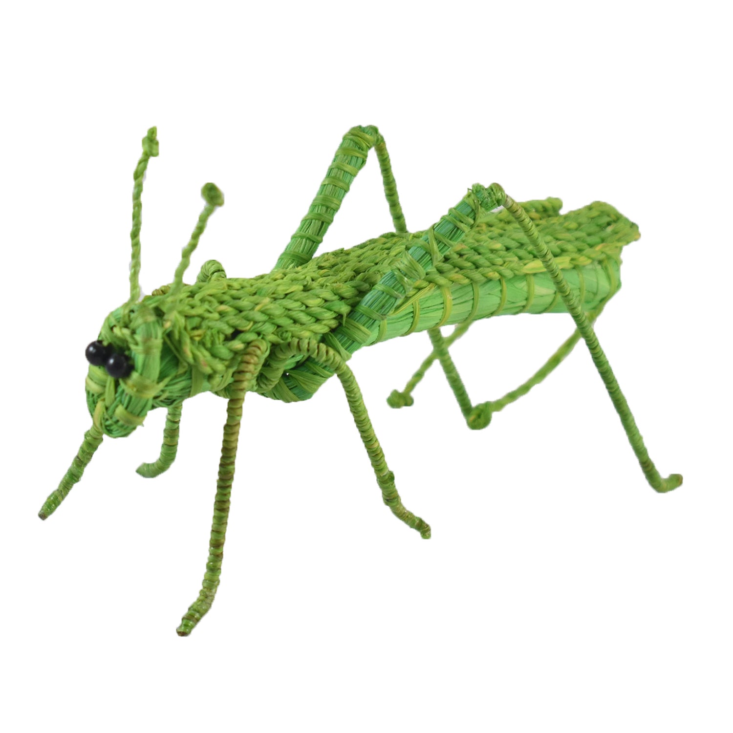 GRASSHOPPER WOVEN INSECT ORNAMENT - HAND-MADE BY ARTISAN FROM THE PERUVIAN AMAZON - Amazon Ecology
