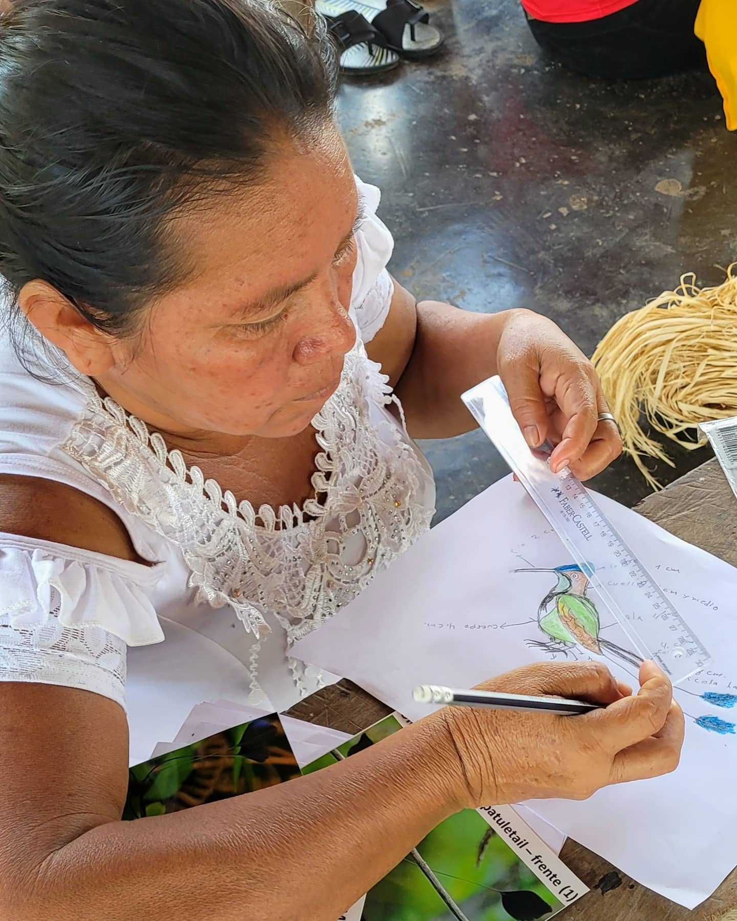 ARTISANS LEARN TO DRAW A BIRD