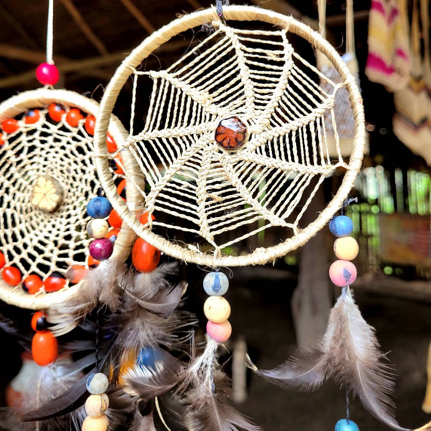 IN SEARCH OF AN AMAZON DREAM (CATCHER)