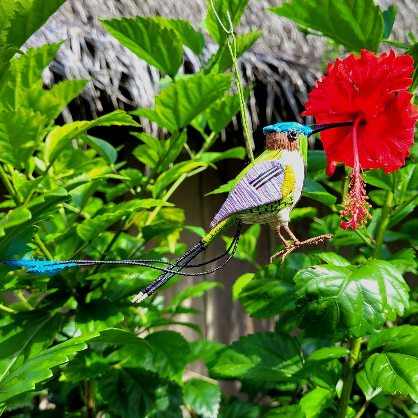 ARTISANS IN AMAZONAS MAKE HUMMINGBIRDS AND KESTRELS