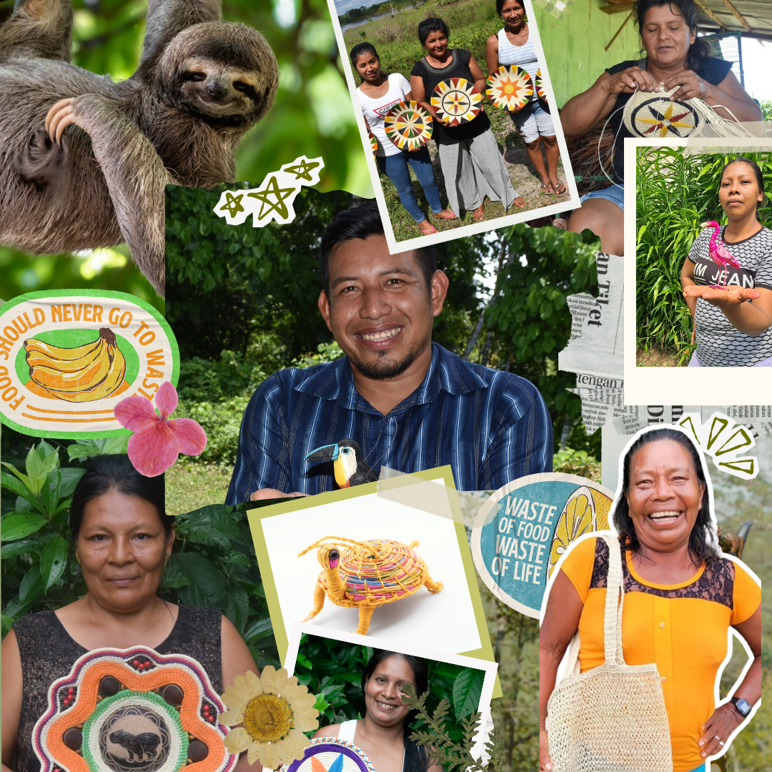 Amazon Ecology