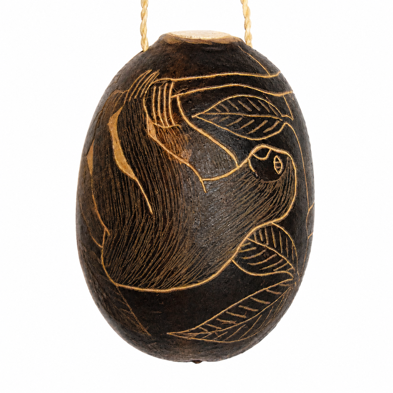 Sloth Mammal Calabash Christmas tree ornament - Amazon Ecology