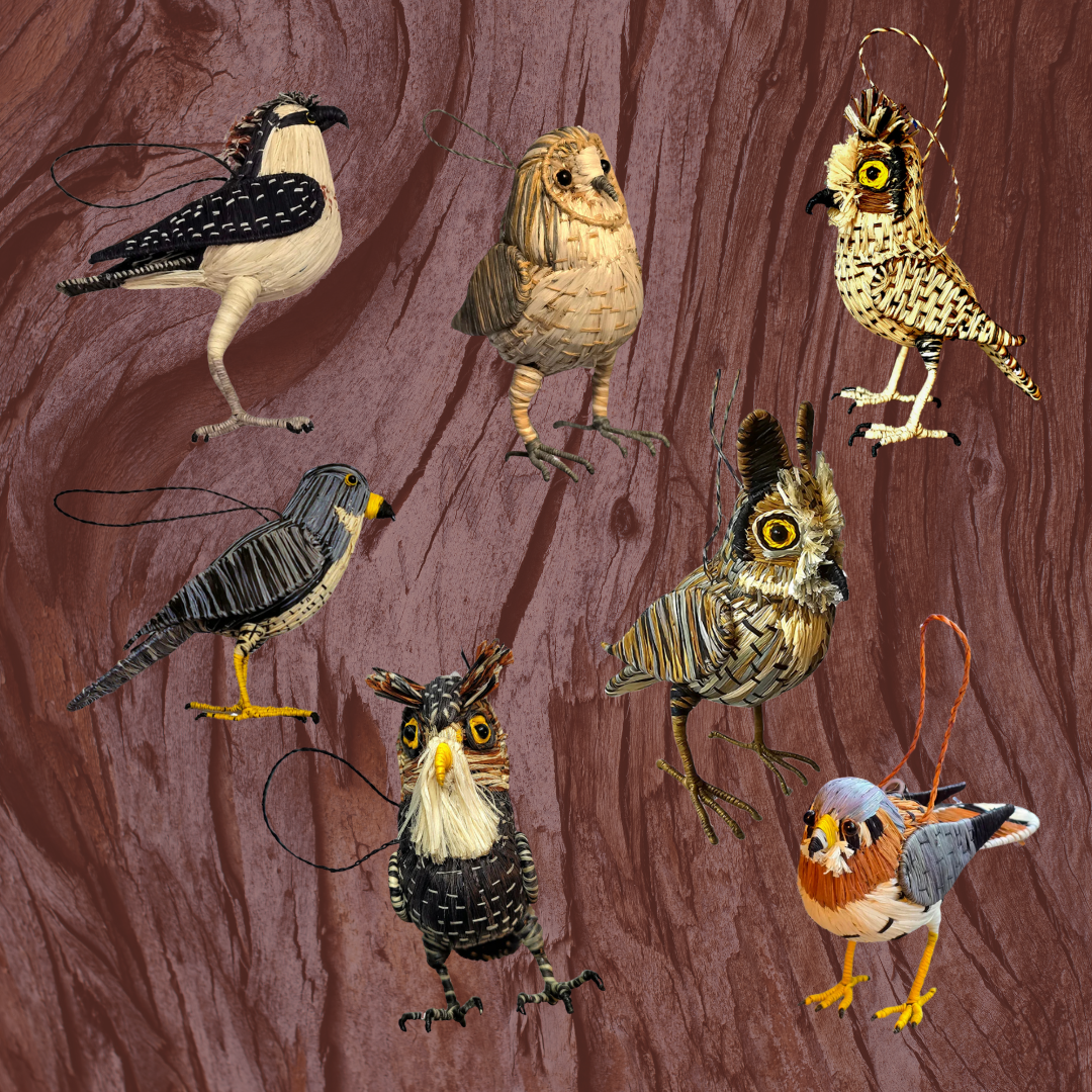 Raptor Favorites