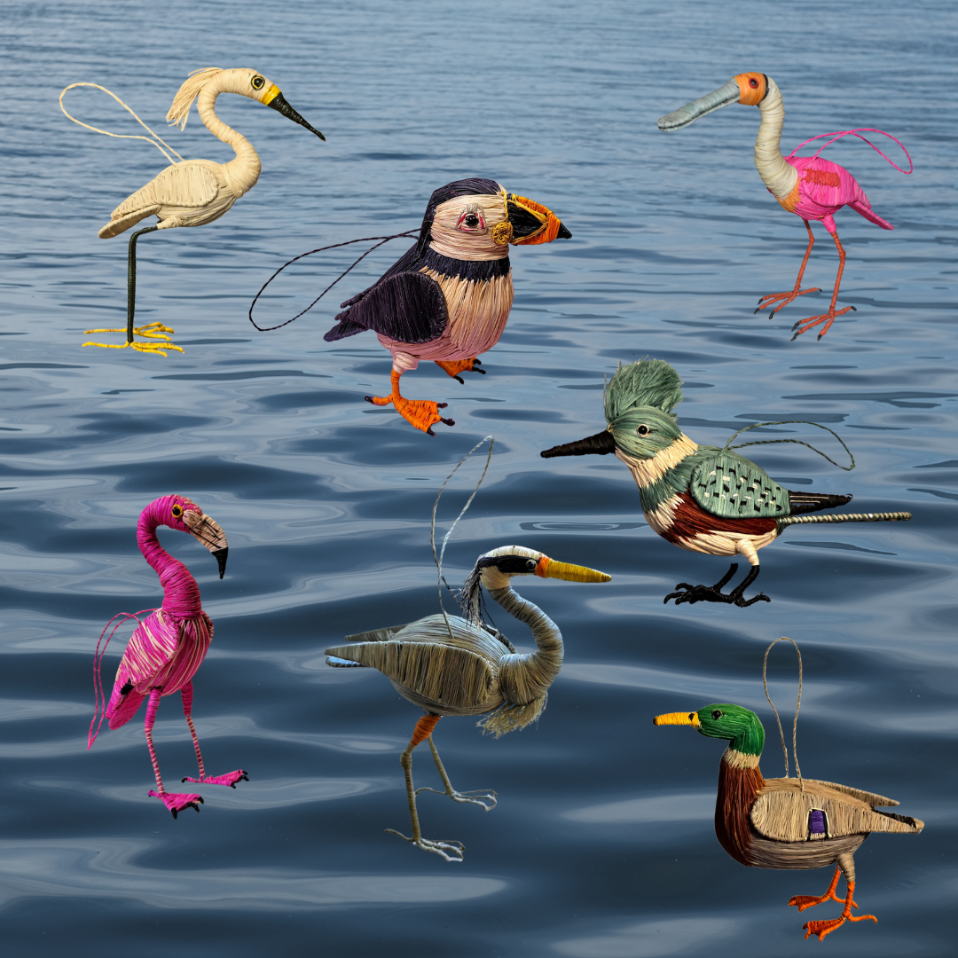 Waterbird Favorites