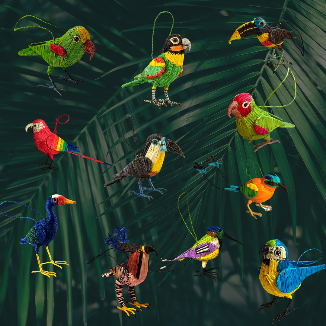 Tropical Favorites