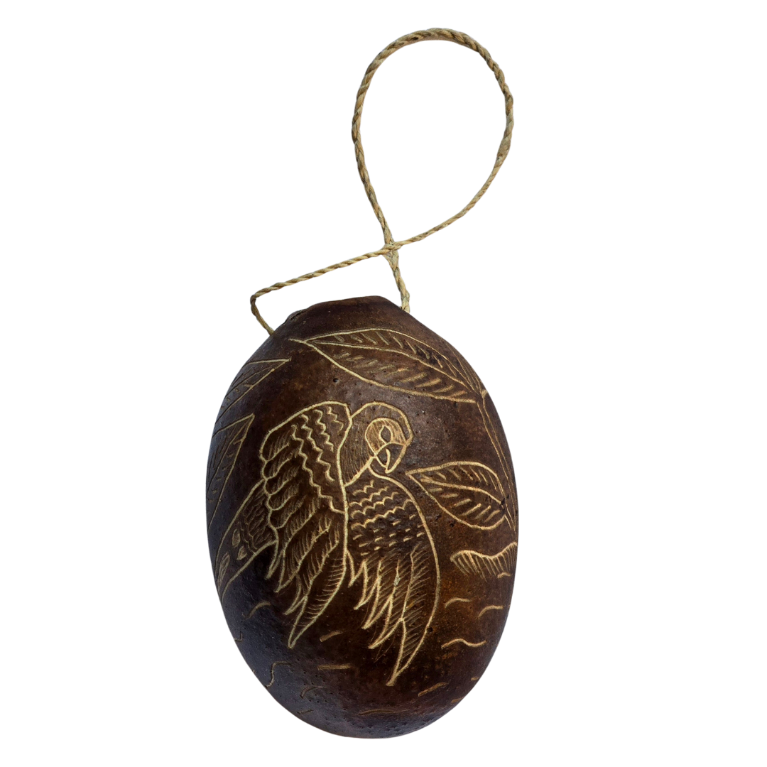 Parrot and Macaw Bird Calabash Christmas tree ornament - Amazon Ecology
