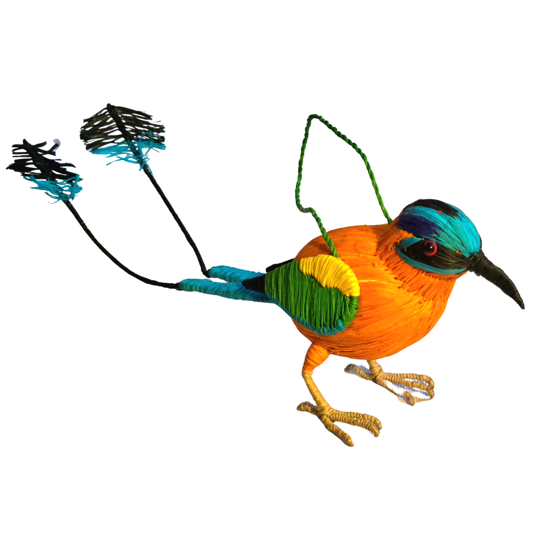 FAIR -TRADE CHRISTMAS TREE BIRD ORNAMENT - BLUE-CROWNED MOTMOT - WOVEN BY PERUVIAN AMAZON ARTISAN - Amazon Ecology