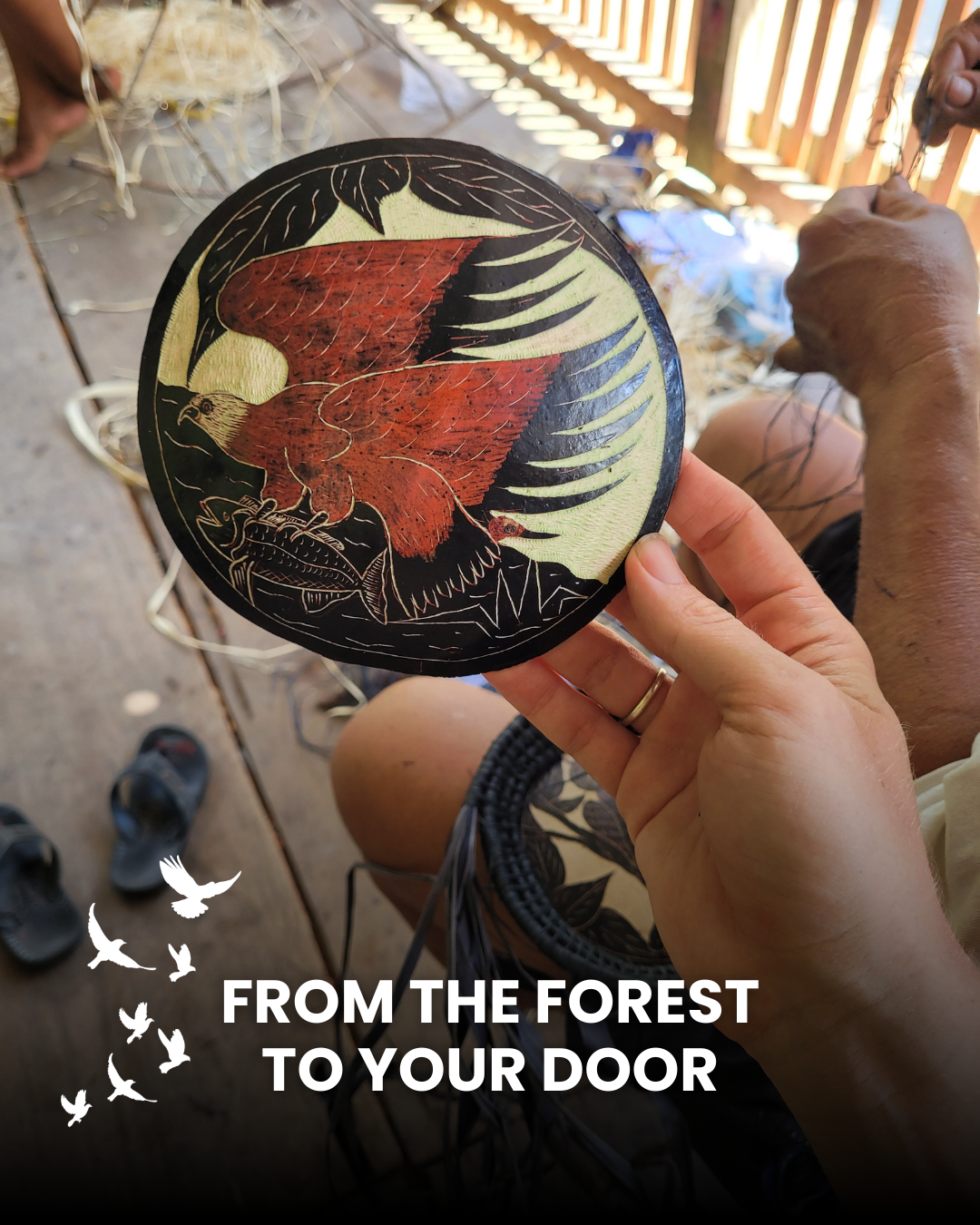 Amazon Ecology
