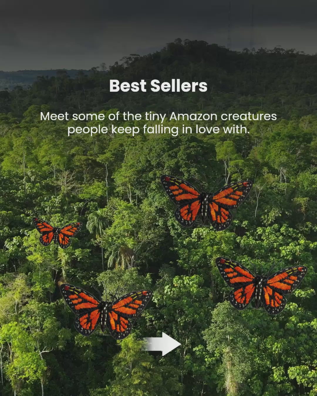 Amazon Ecology