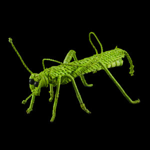 GRASSHOPPER WOVEN INSECT ORNAMENT - HAND-MADE BY ARTISAN FROM THE PERUVIAN AMAZON