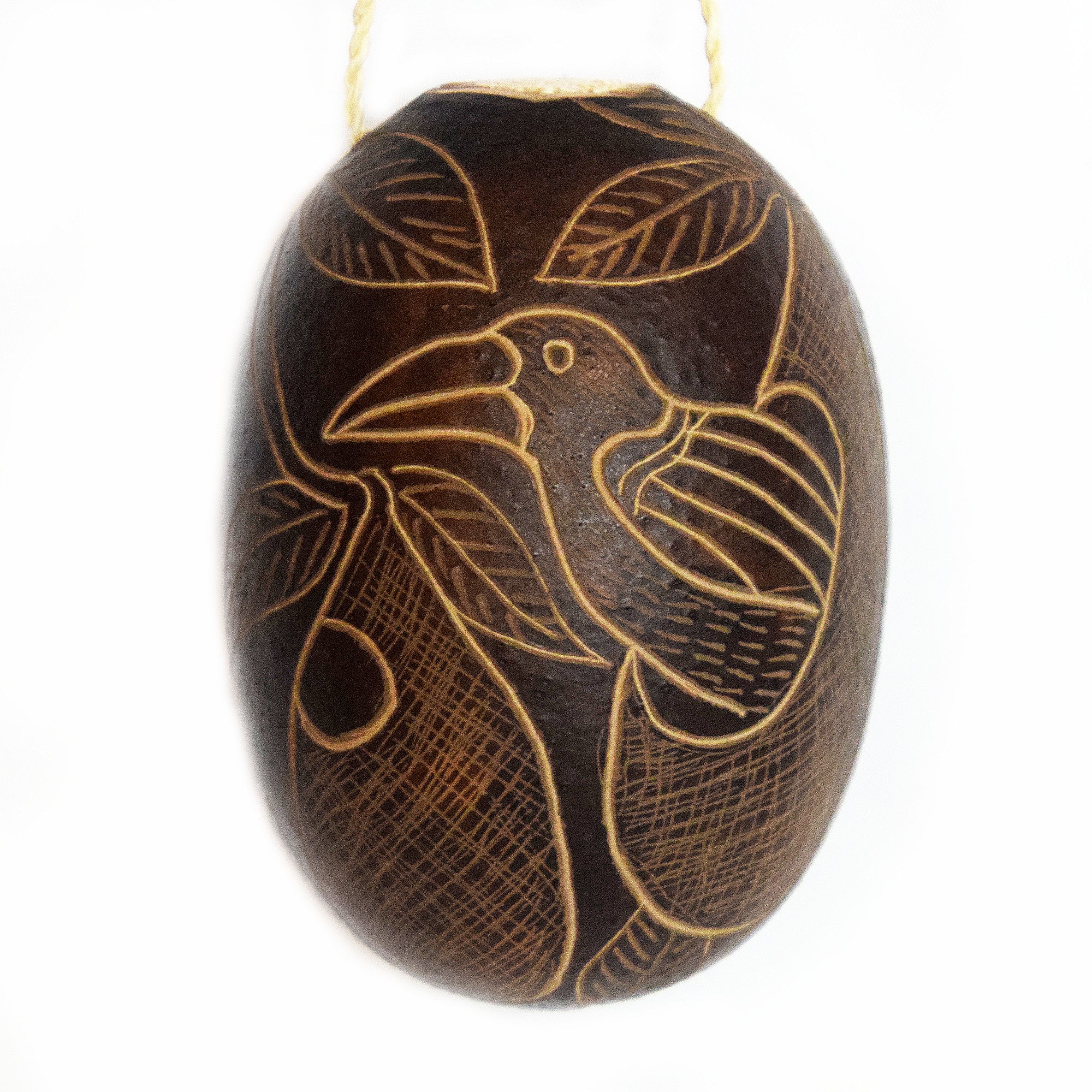 Cacique and Oropendola Bird Calabash Christmas tree ornament and hand rattle