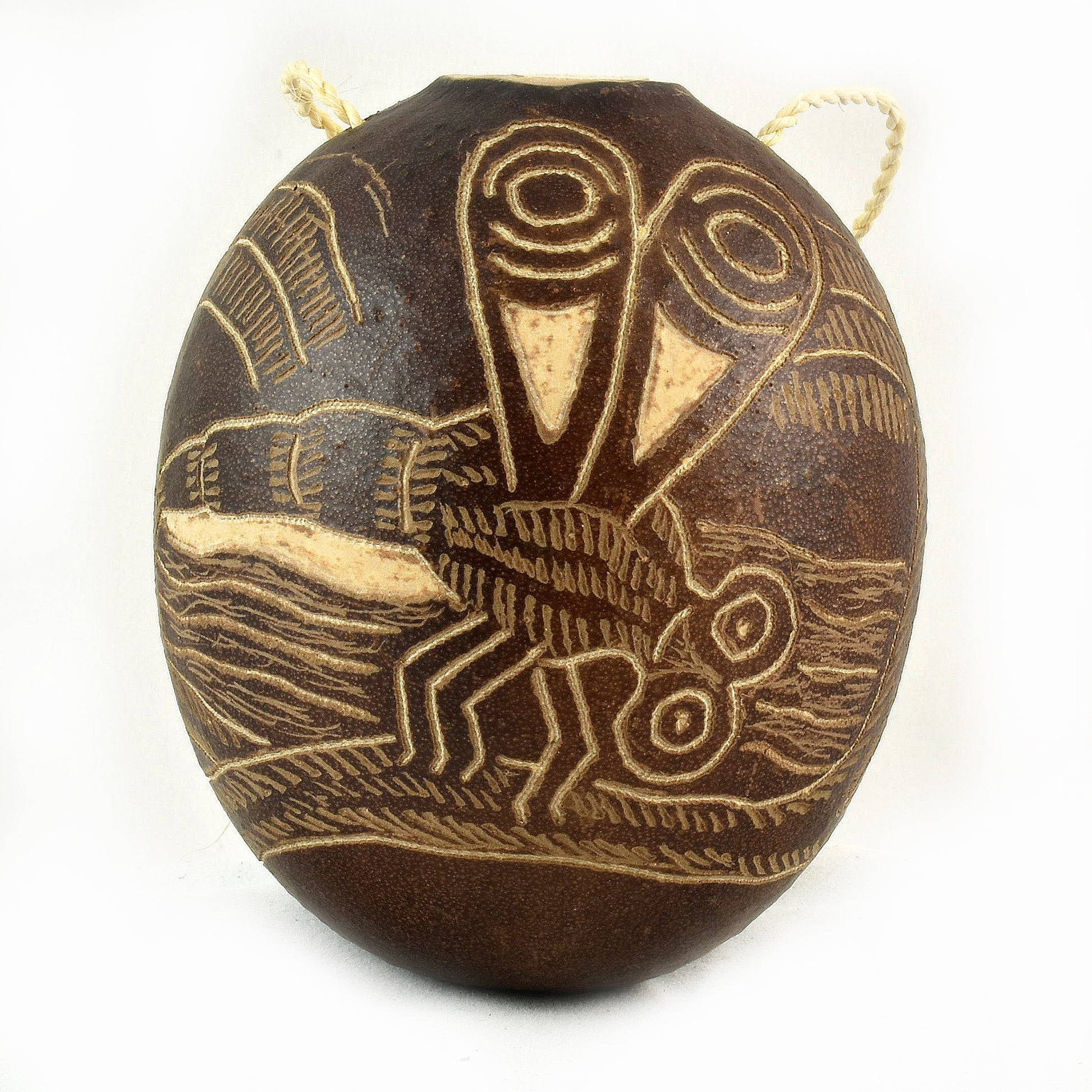 Dragonfly Insect Calabash Christmas tree ornament - Amazon Ecology